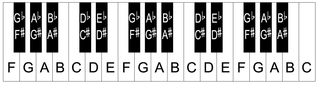 Расположение нот на клавиатуре фортепиано. Расположение нот на синтезаторе. Расположение нот на пианино. Ноты буквы и названия.
