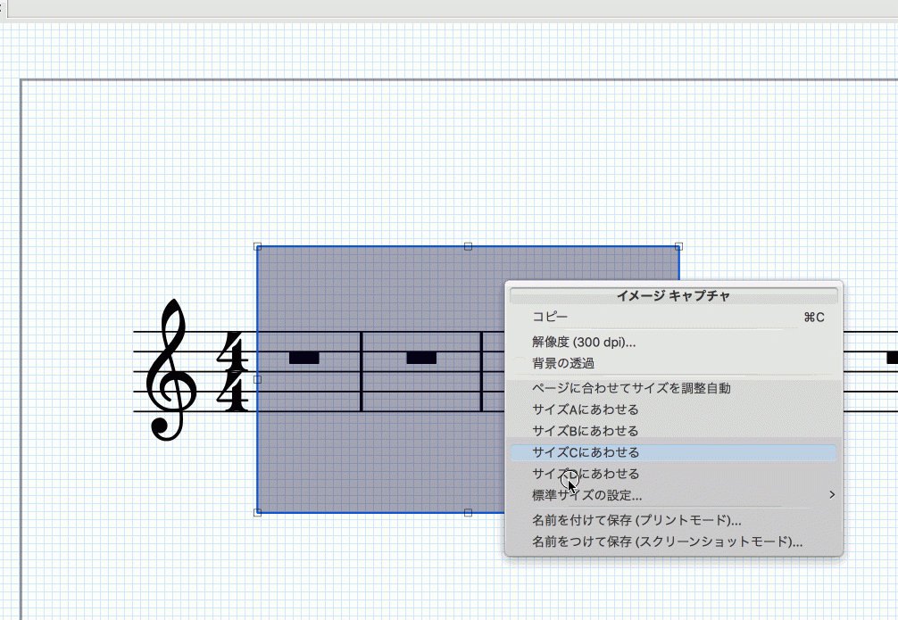 Image Capture to SVG donu0027t work in Japanese language  MuseScore